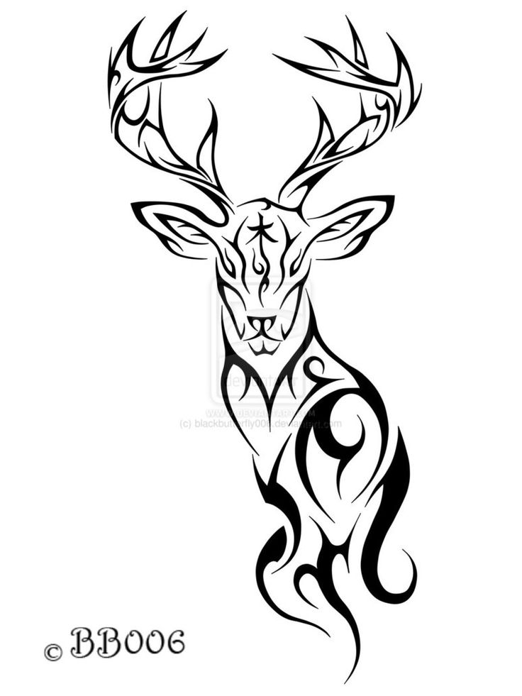 736x981 Huge Collection Of 'deer Skull Drawing Easy' Download More Than - Deer Head Drawing Easy