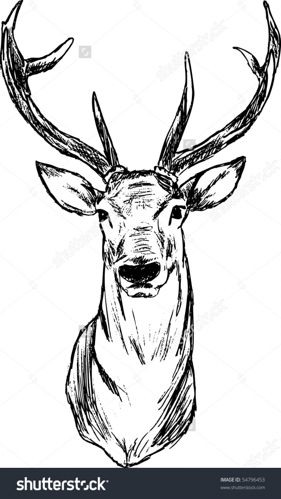 577x1024 How To Draw A Deer - Deer Head Drawing Easy