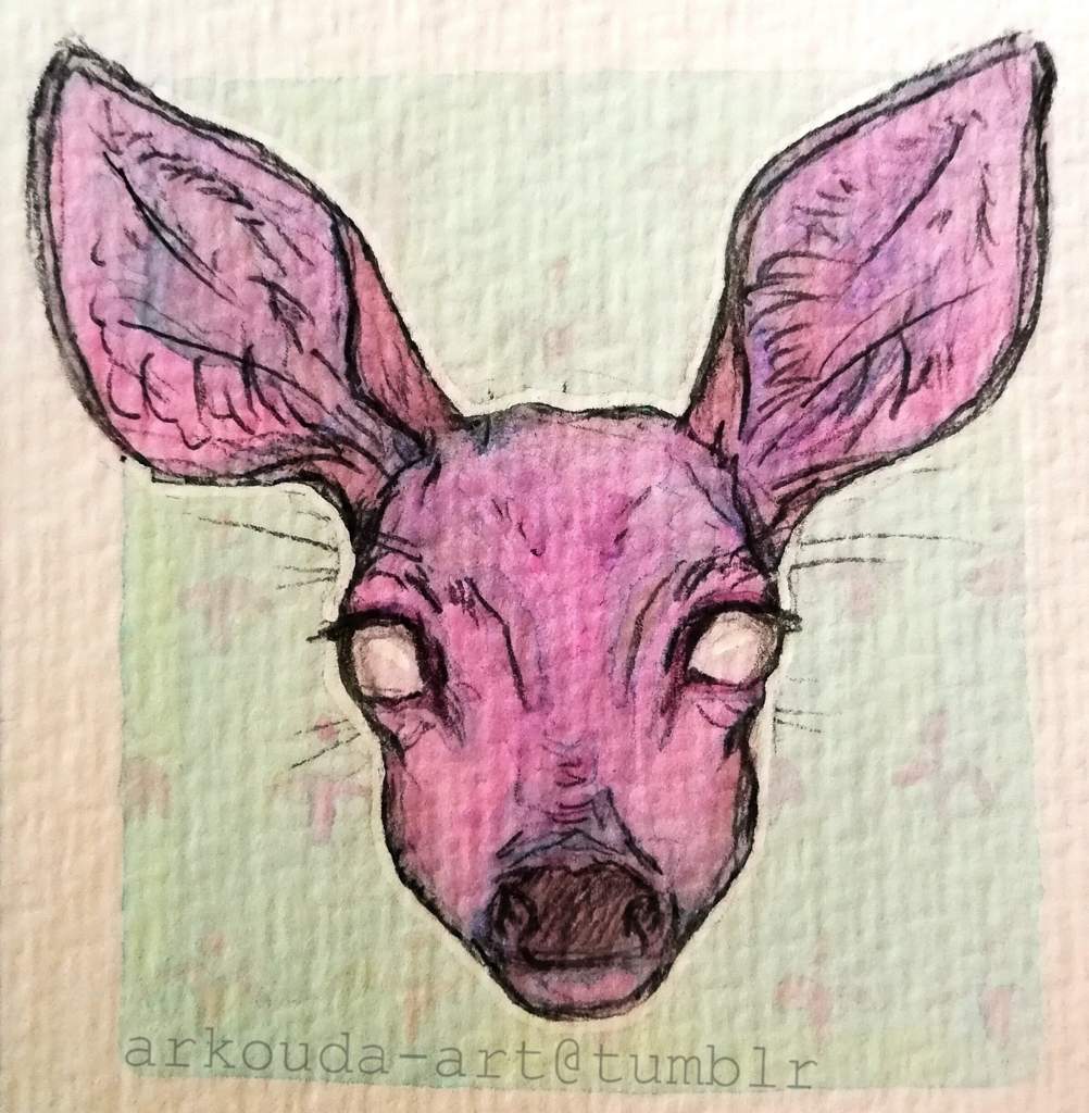 1002x1024 Deer Tumblr Art Amino - Deer Head Drawing Tumblr
