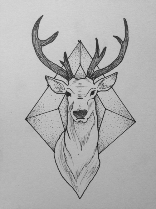 500x667 Geometric Tattoo Deer Ideas - Deer Head Drawing Tumblr