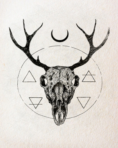 400x500 Animal Skull Drawing Tumblr - Deer Head Drawing Tumblr