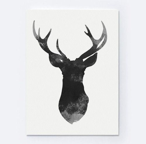 500x493 Deer Drawing Tumblr - Deer Head Drawing Tumblr