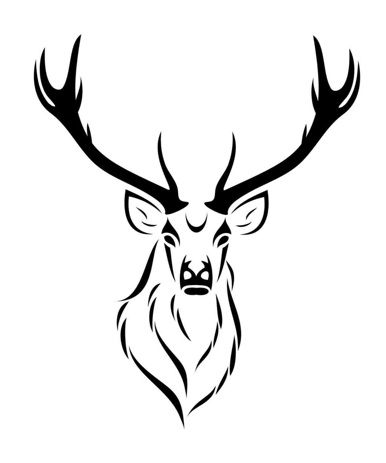 1249x1499 Deer Head Drawing Tumblr - Deer Head Drawing Tumblr