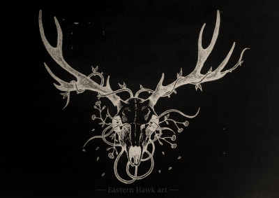 400x283 Deer Skull Drawing Tumblr - Deer Head Drawing Tumblr