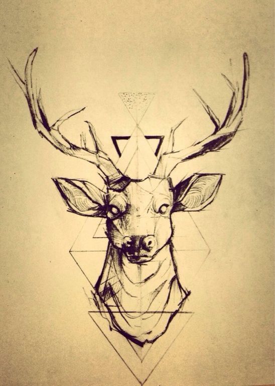 548x768 Deer Skull Tattoos Tumblr - Deer Head Drawing Tumblr