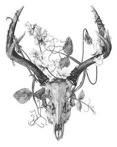 236x297 Deer Skull Tattoos Tumblr - Deer Head Drawing Tumblr