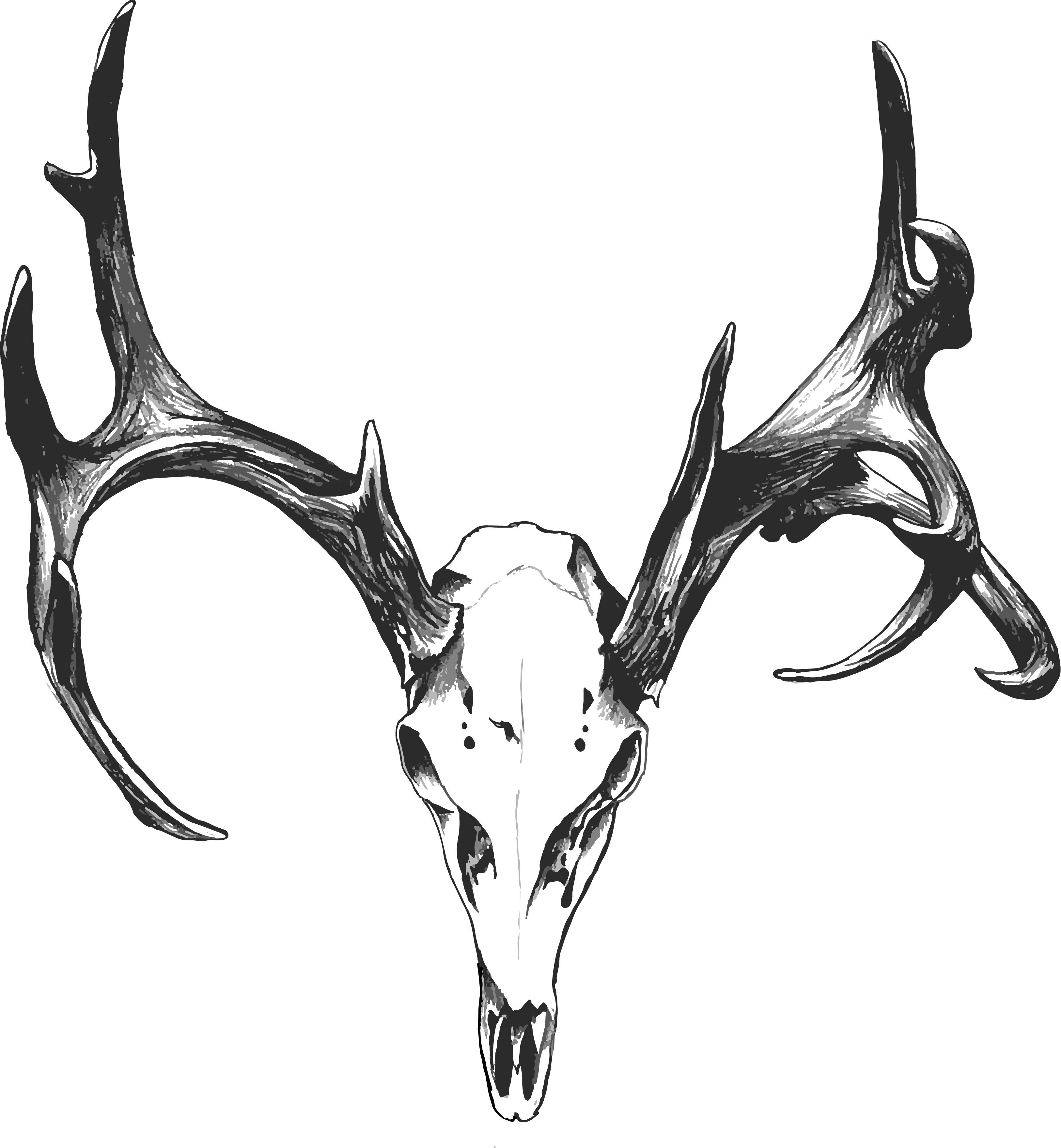 3251x3519 Deer Skull Tattoos Tumblr - Deer Head Drawing Tumblr