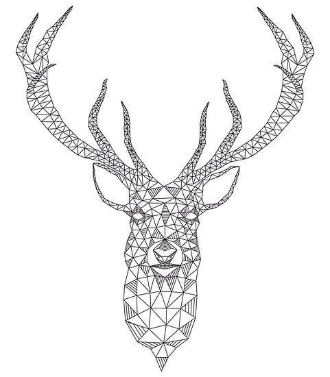 481x550 Geometric Draws - Deer Head Drawing Tumblr