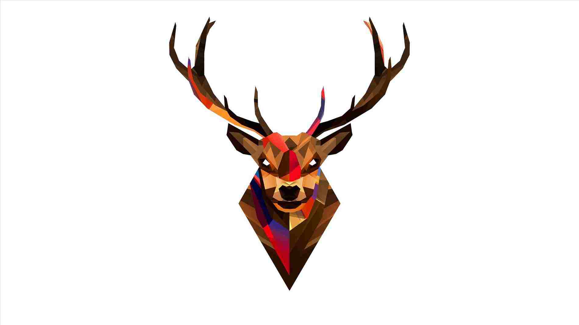 1900x1068 photos drawing art galleryrhdrawinglicscom antlers rhcom antlers - Deer Head Drawing Tumblr