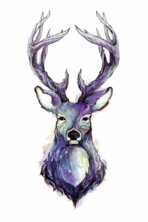 474x712 Deer Head Drawing Tumblr Gtgt - Deer Head Drawing Tumblr