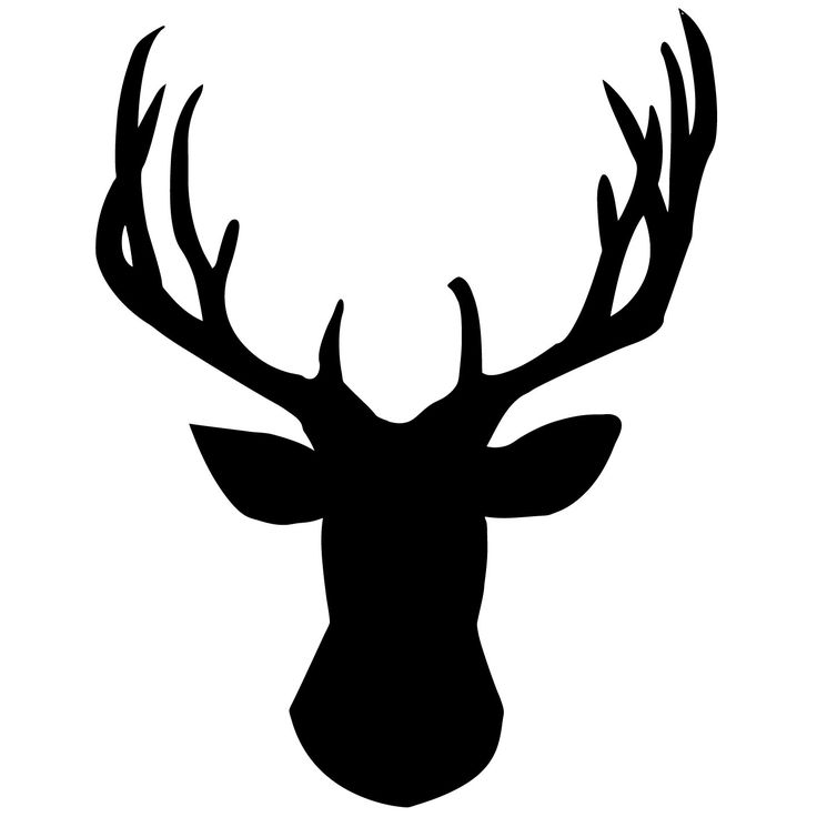 Deer Head Outline Drawing at PaintingValley.com | Explore collection of ...