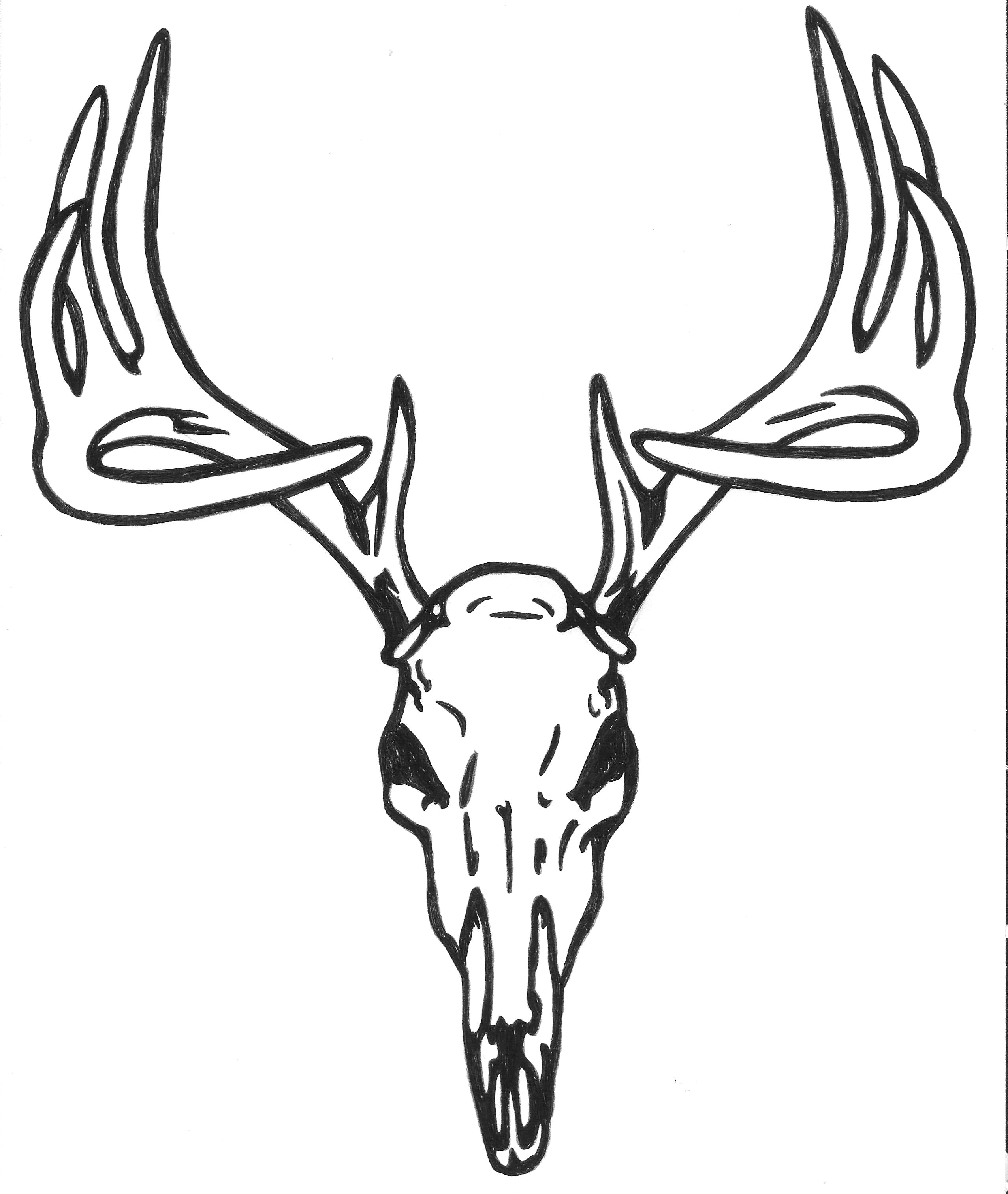 Deer Head Outline - Deer Head Outline Drawing. 