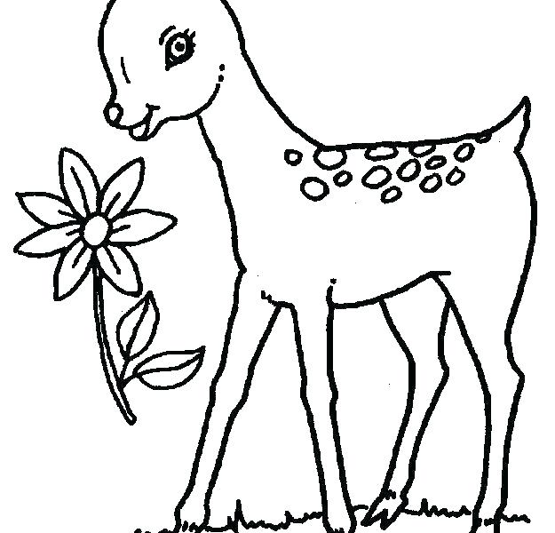 625x600 Deer Hunting Coloring Pages To Print Outline Drawings Printable - Deer Head Outline Drawing