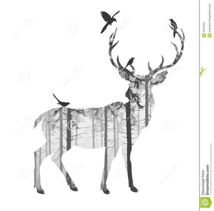 736x726 Deer Outline Clipart Collection - Deer Head Outline Drawing