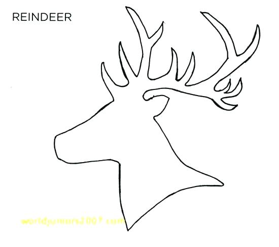 Deer Head Outline Drawing at PaintingValley.com | Explore collection of ...