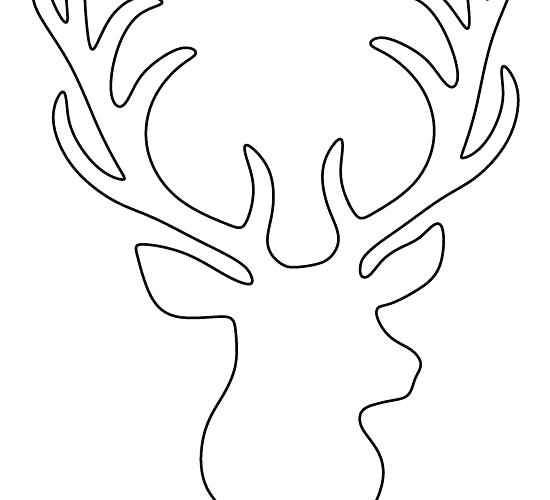 Deer Head Outline Drawing at PaintingValley.com | Explore collection of ...