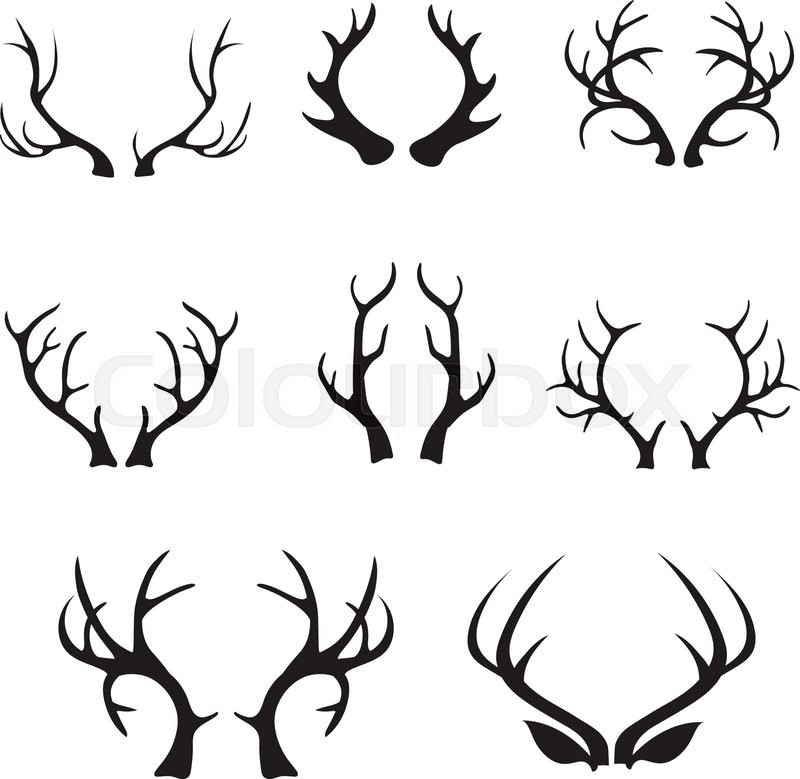 800x779 huge collection of 'deer antler drawing' download more than - Deer Horns Drawing