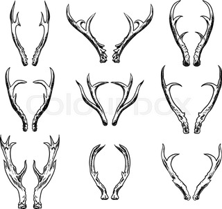 320x301 Illustration Of Hand Drawn Deer Stock Vector Colourbox - Deer Horns Drawing