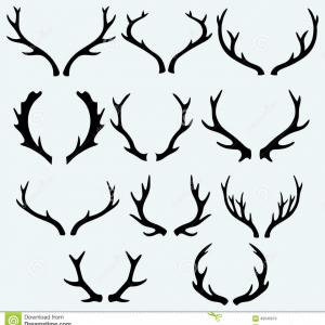 300x300 Png White Tailed Deer Clip Art Vector Graphics Drawing Sohadacouri - Deer Horns Drawing