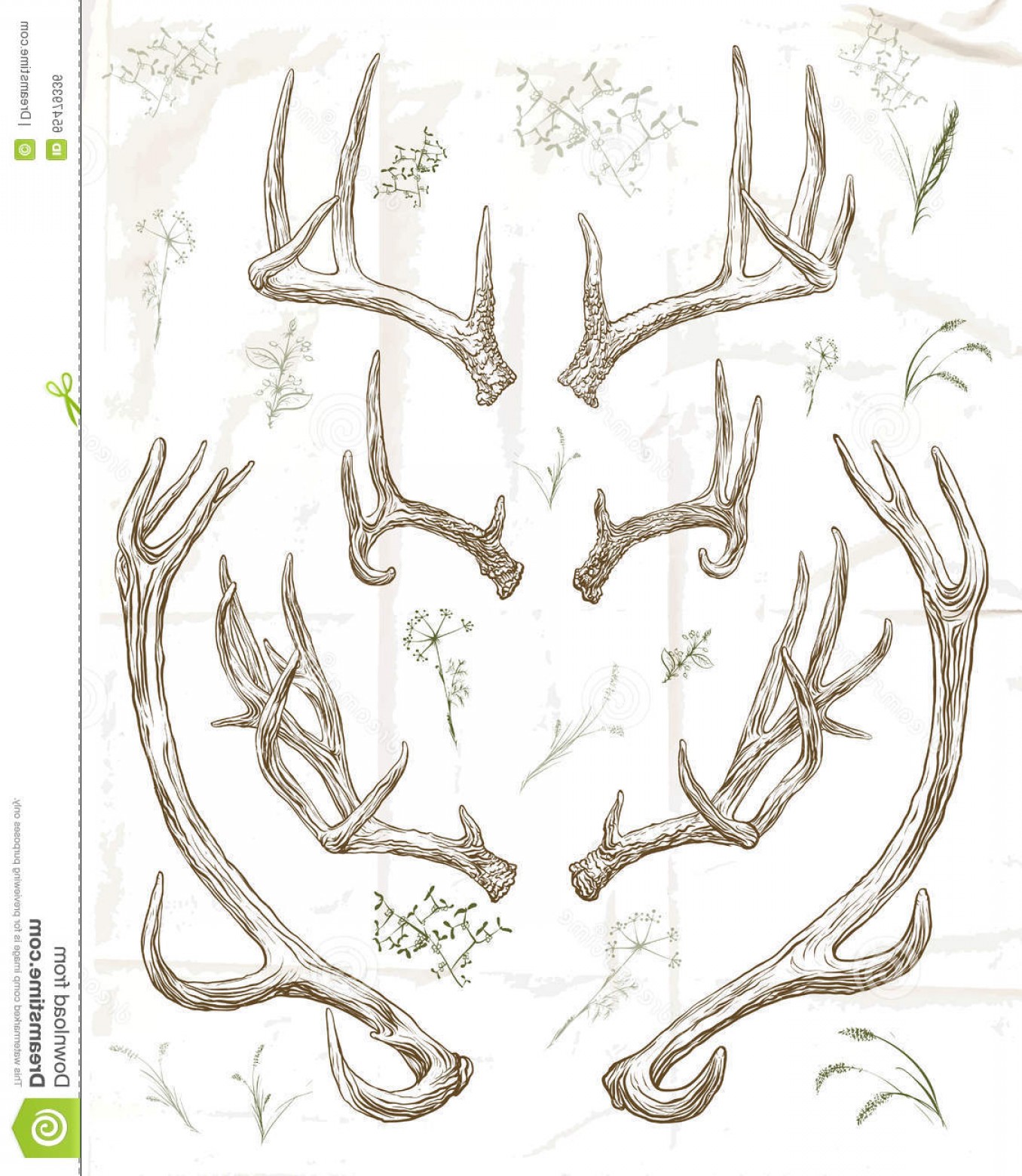 1356x1560 stock illustration hand drawing deer horns vector illustration - Deer Horns Drawing