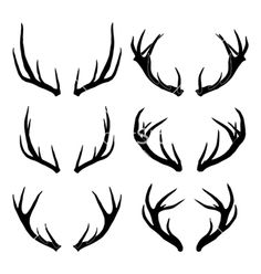 236x248 Antlers - Deer Horns Drawing