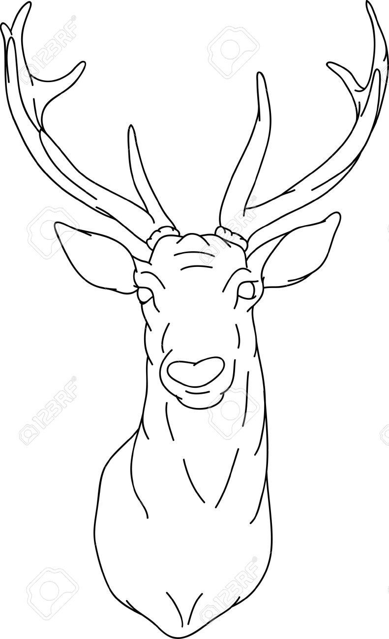 791x1300 deer horns drawing beautiful how to draw a deer head google search - Deer Horns Drawing