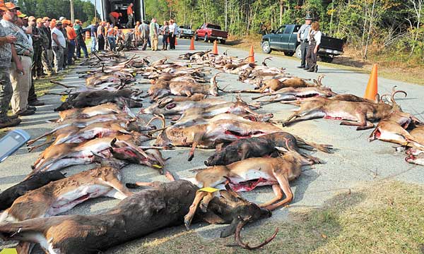 600x360 Draw A Wma Ace - Deer Hunting Drawings