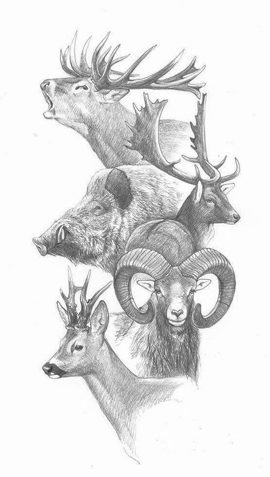 545x960 edr divech big game scratchboard art hunting drawings - Deer Hunting Drawings