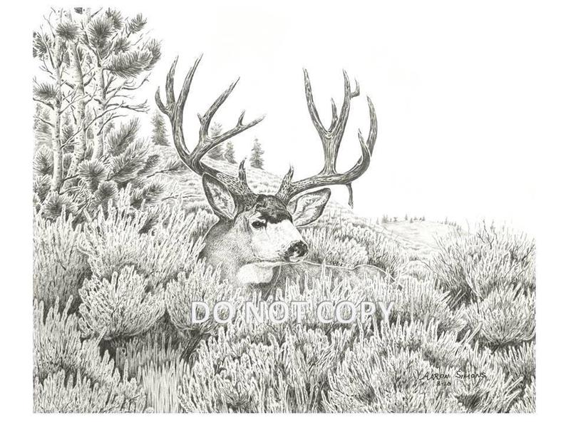 Deer Hunting Drawings at Explore collection of