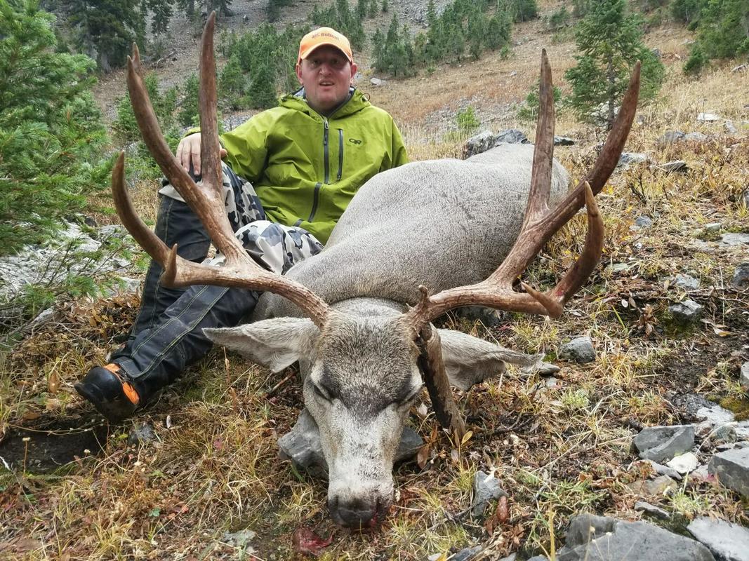 1067x800 Backcountry - Deer Hunting Drawings