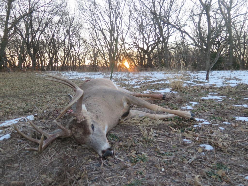 1024x768 deadline to enter drawing to deer hunt on long island is nov - Deer Hunting Drawings