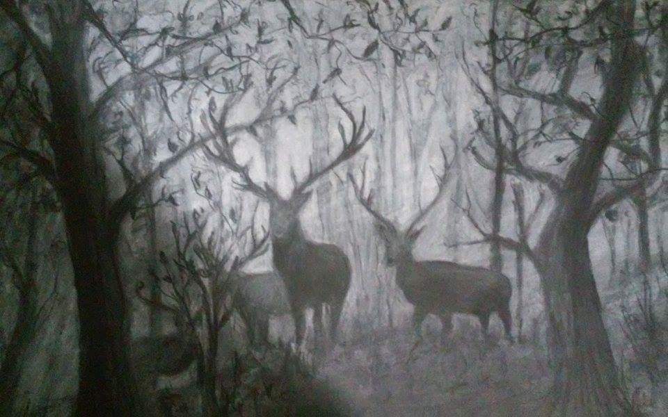 Deer In Forest Drawing at Explore collection of