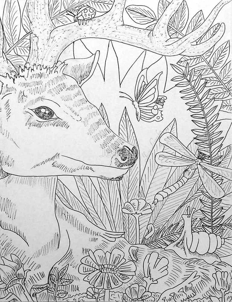 769x1000 Deer In Forest Drawing - Deer In Forest Drawing