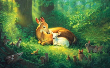 450x279 Sweet Deer In Forest - Deer In Forest Drawing