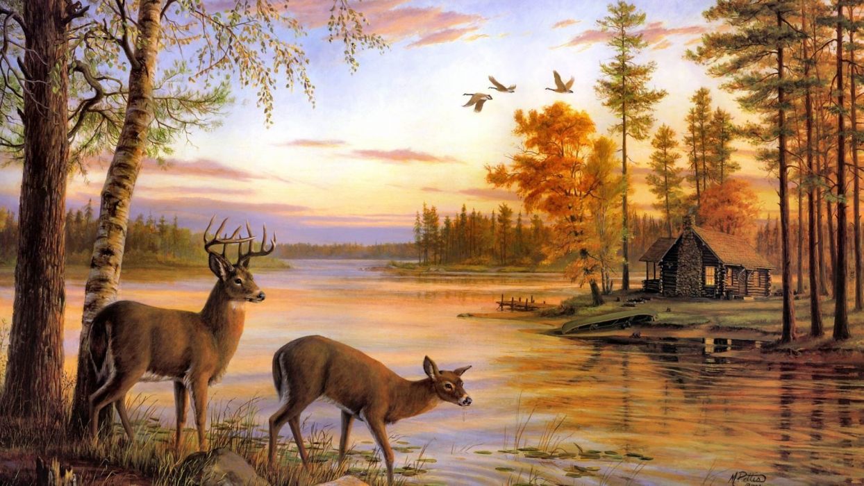 1244x700 art oil painting drawing forest lake shore deer cottage wallpaper - Deer In Forest Drawing