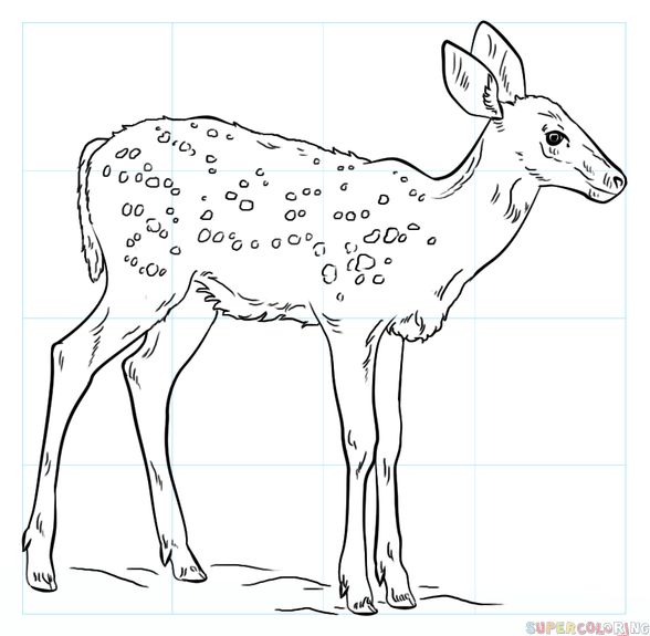 Deer Line Drawing