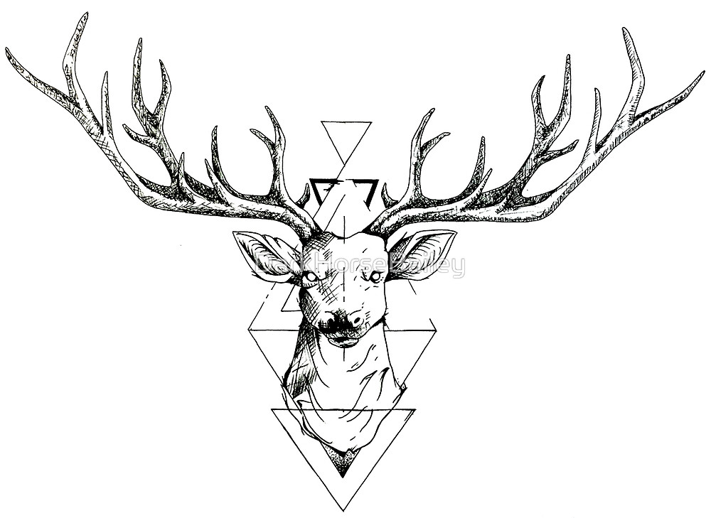 1000x729 Deer Lineart Free Download - Deer Line Drawing