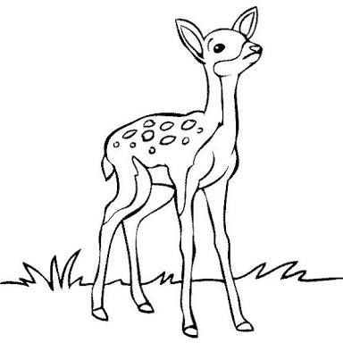 384x384 Image Result For Simple Line Drawings Of Deer Drawings - Deer Line Drawing
