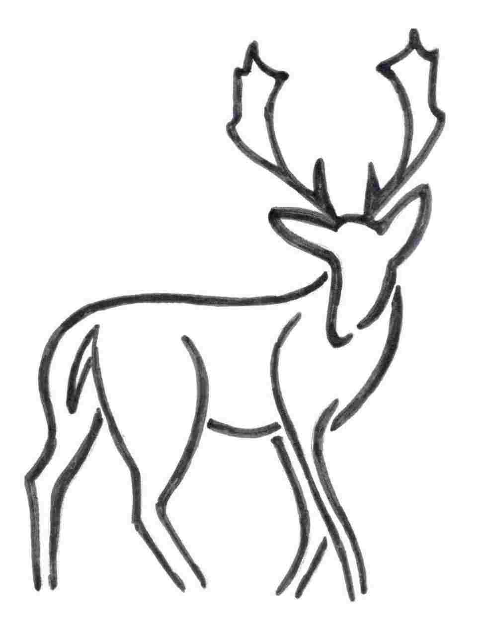 966x1282 To Draw Easy Line Drawings Of Deer Google Search Integrating - Deer Line Drawing