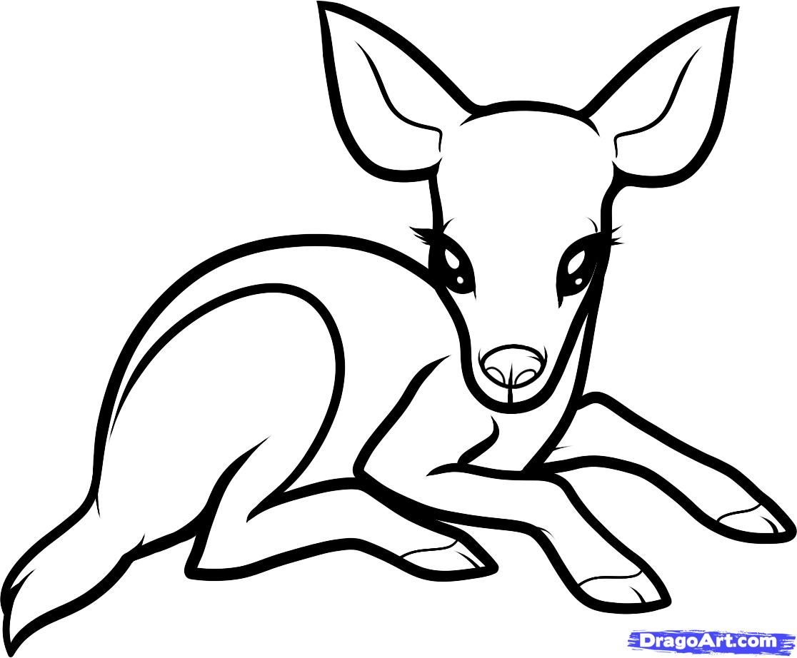 1116x922 Baby Deer Drawing - Deer Line Drawing
