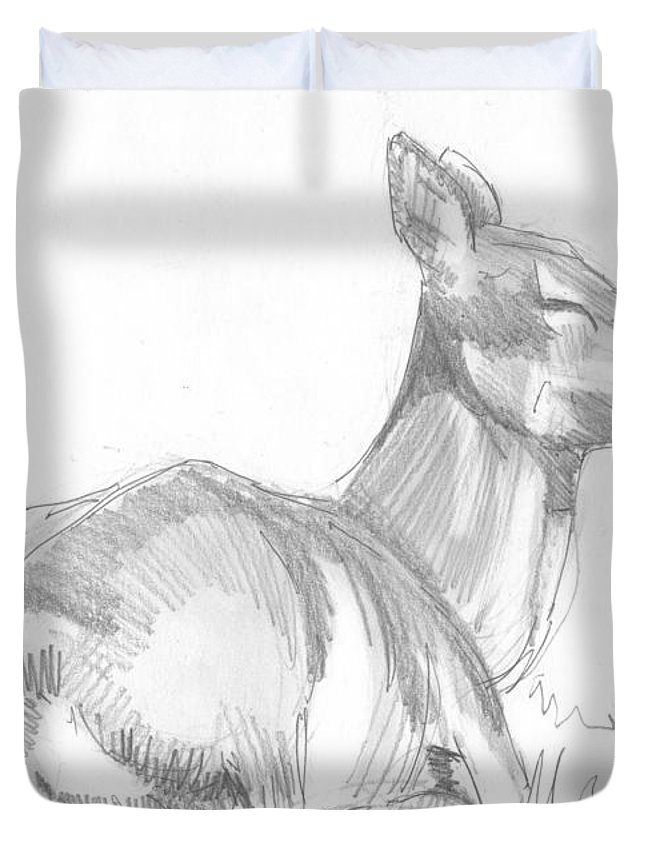 645x853 Deer Lying Down Drawing Duvet Cover For Sale - Deer Lying Down Drawing