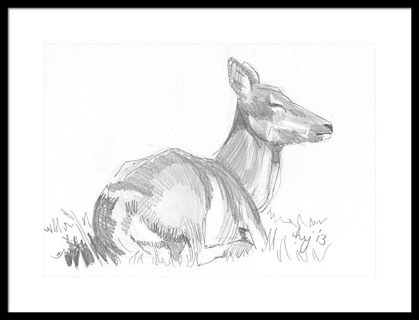 600x458 Deer Lying Down Drawing Framed Print - Deer Lying Down Drawing