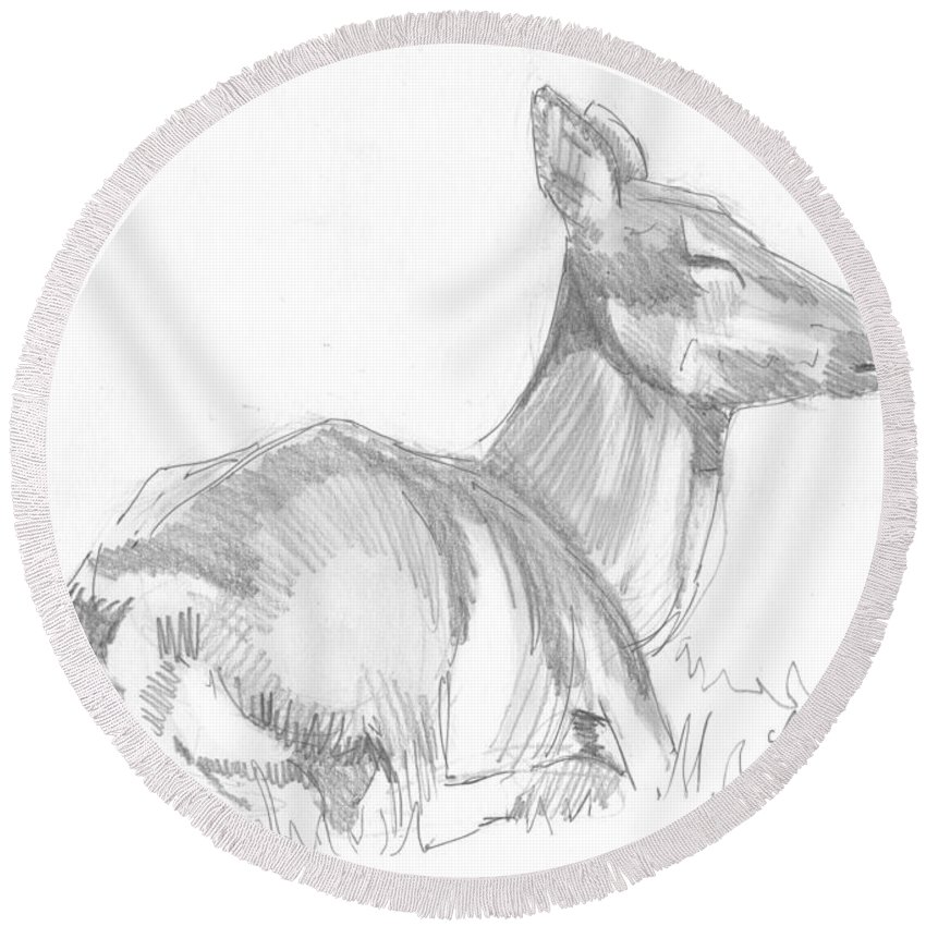850x850 Deer Lying Down Drawing Round Beach Towel For Sale - Deer Lying Down Drawing