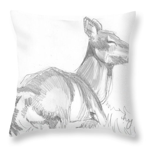 500x500 Deer Lying Down Drawing Throw Pillow For Sale - Deer Lying Down Drawing