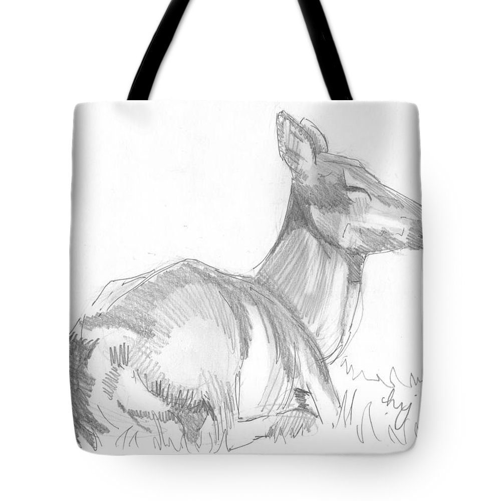 1000x1000 Deer Lying Down Drawing Tote Bag For Sale - Deer Lying Down Drawing
