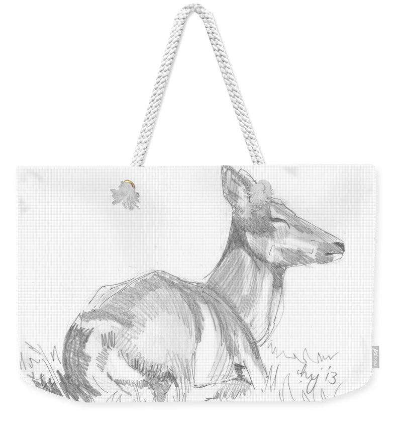800x845 Deer Lying Down Drawing Weekender Tote Bag For Sale - Deer Lying Down Drawing