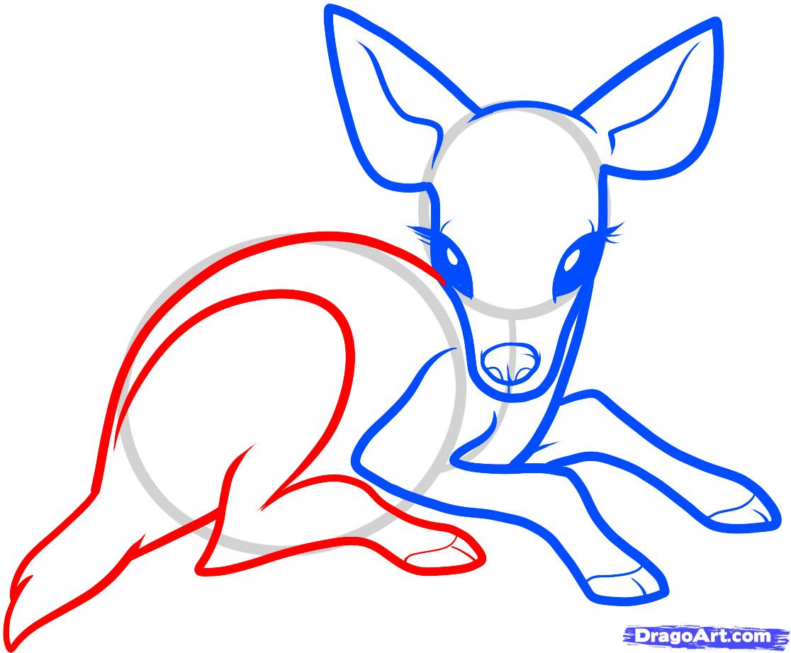 1116x922 How To Draw A Baby Deer, Baby Deer, Step - Deer Lying Down Drawing
