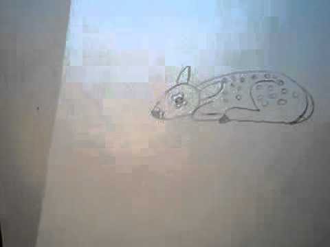 480x360 How To Draw A Baby Deer - Deer Lying Down Drawing