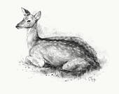 170x135 Items Similar To Original Charcoal Drawing Of Young Deer Lying - Deer Lying Down Drawing