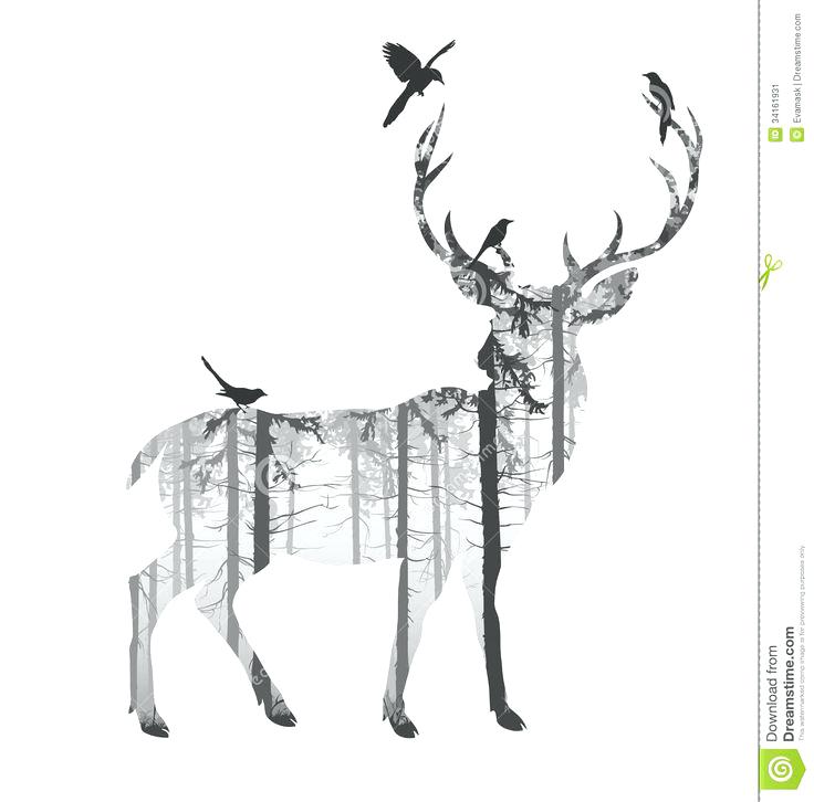 736x726 Deer Outline Best Fall Cookie Ideas Outlines Head Drawing - Deer Outline Drawing